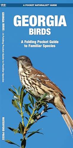 

Georgia Birds: A Folding Pocket Guide to Familiar Species (A Pocket Naturalist Guide) [No Binding ]