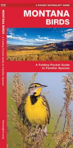 Stock image for Montana Birds: A Folding Pocket Guide to Familiar Species (Wildlife and Nature Identification) for sale by Off The Shelf