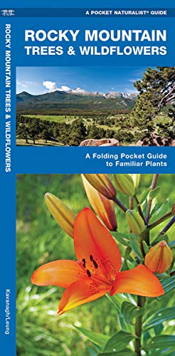 Imagen de archivo de Rocky Mountain Trees & Wildflowers: A Folding Pocket Guide to Familiar Plants (Wildlife and Nature Identification) a la venta por Jenson Books Inc