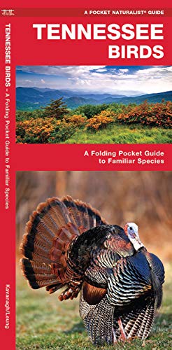Stock image for Tennessee Birds: A Folding Pocket Guide to Familiar Species (Wildlife and Nature Identification) for sale by Half Price Books Inc.