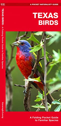 Imagen de archivo de Texas Birds: A Folding Pocket Guide to Familiar Species (Wildlife and Nature Identification) a la venta por BooksRun