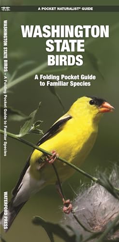 Stock image for Washington State Birds: A Folding Pocket Guide to Familiar Species (Wildlife and Nature Identification) for sale by SecondSale