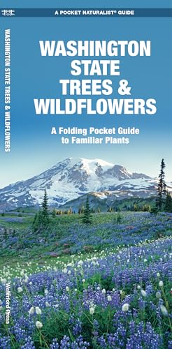 Stock image for Washington State Trees & Wildflowers: A Folding Pocket Guide to Familiar Plants (Wildlife and Nature Identification) for sale by Idaho Youth Ranch Books