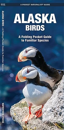 Beispielbild fr Alaska Birds: A Folding Pocket Guide to Familiar Species (A Pocket Naturalist Guide) zum Verkauf von WorldofBooks