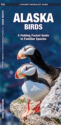 Stock image for Alaska Birds: A Folding Pocket Guide to Familiar Species (Wildlife and Nature Identification) for sale by HPB-Diamond