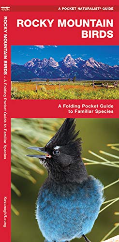 Stock image for Rocky Mountain Birds: A Folding Pocket Guide to Familiar Species (Wildlife and Nature Identification) for sale by BooksRun