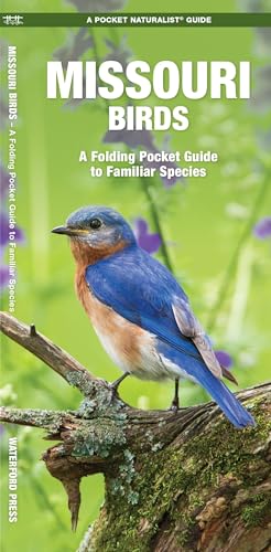 Missouri Birds: A Folding Pocket Guide to Familiar Species (Pocket Naturalist Guide Series)