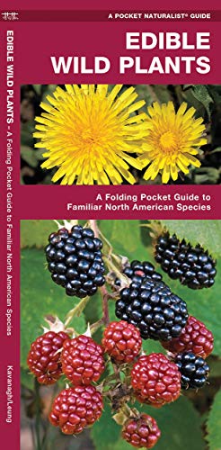 Edible Wild Plants: A Folding Pocket Guide to Familiar North American Species (Pocket Naturalist ...