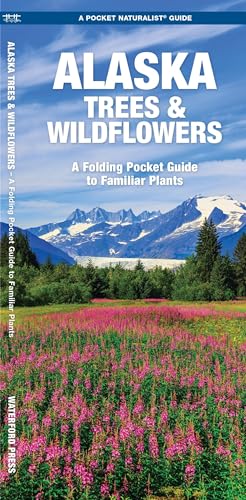 Stock image for Alaska Trees & Wildflowers: A Folding Pocket Guide to Familiar Plants (Wildlife and Nature Identification) for sale by Jenson Books Inc