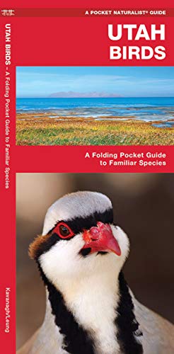 Stock image for Utah Birds: A Folding Pocket Guide to Familiar Species (Wildlife and Nature Identification) for sale by BooksRun