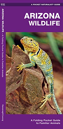 Stock image for Arizona Wildlife: A Folding Pocket Guide to Familiar Animals (Wildlife and Nature Identification) for sale by -OnTimeBooks-