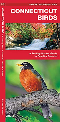 Connecticut Birds: A Folding Pocket Guide to Familiar Species