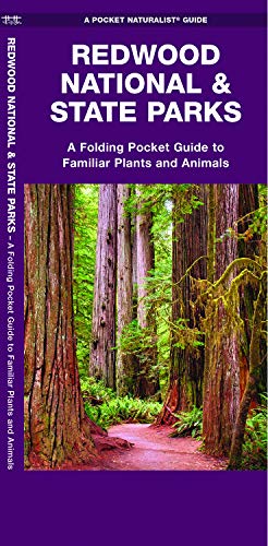 9781583551417: Redwood National & State Parks: A Folding Pocket Guide to Familiar Plants and Animals (A Pocket Naturalist Guide)