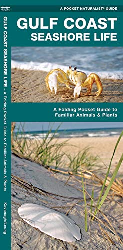 Stock image for Gulf Coast Seashore Life : A Folding Pocket Guide to Familiar Plants and Animals for sale by Better World Books