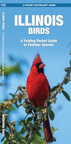 Illinois Birds: A Folding Pocket Guide to Familiar Species (Pocket Naturalist Guide Series)