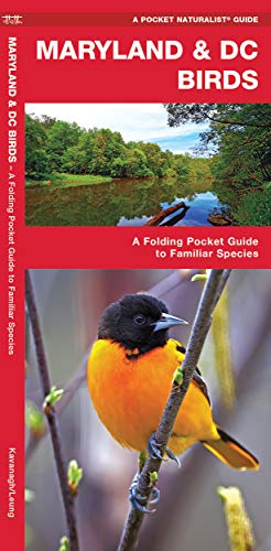 9781583551516: Maryland & DC Birds: A Folding Pocket Guide to Familiar Species (A Pocket Naturalist Guide)