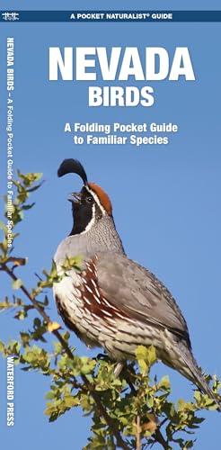 Nevada Birds: A Folding Pocket Guide to Familiar Species (Wildlife and Nature Identification) (9781583551561) by Kavanagh Waterford Press, James; Waterford Press Waterford Press