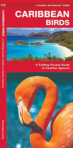 9781583551585: Caribbean Birds: A Folding Pocket Guide to Familiar Species (Pocket Naturalist Guide Series)