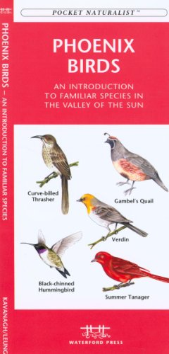 9781583551639: Phoenix Birds: A Folding Pocket Guide to Familiar Species in the Valley of the Sun (A Pocket Naturalist Guide)