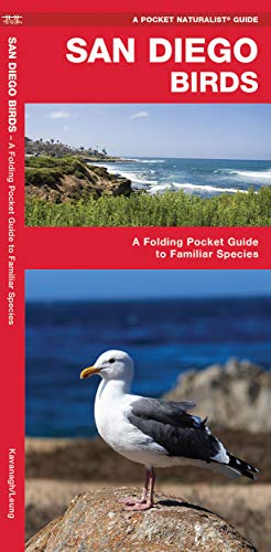 9781583551646: San Diego Birds: A Folding Pocket Guide to Familiar Species (Pocket Naturalist Guide Series)