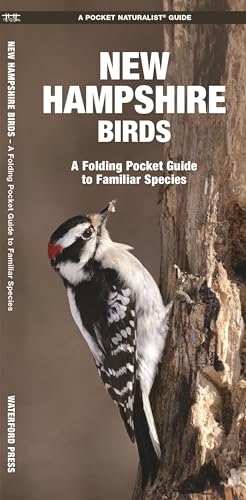 New Hampshire Birds: A Folding Pocket Guide to Familiar Species