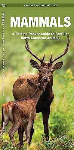 Stock image for Mammals: A Folding Pocket Guide to Familiar North American Animals (Wildlife and Nature Identification) for sale by BooksRun