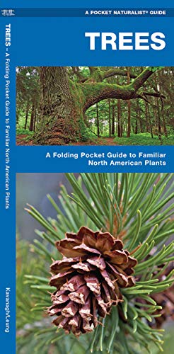 Beispielbild fr Trees: A Folding Pocket Guide to Familiar North American Species (A Pocket Naturalist Guide) zum Verkauf von WorldofBooks