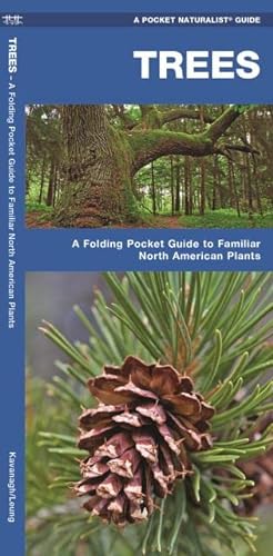 Stock image for Trees: A Folding Pocket Guide to Familiar North American Plants (Wildlife and Nature Identification) for sale by Goodwill of Colorado