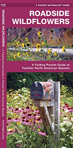 Beispielbild fr Roadside Wildflowers: A Folding Pocket Guide to Familiar North American Species (Wildlife and Nature Identification) zum Verkauf von Goodwill of Colorado