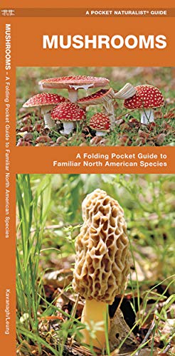 Mushrooms: A Folding Pocket Guide to Familiar North American Species (Wildlife and Nature Identif...