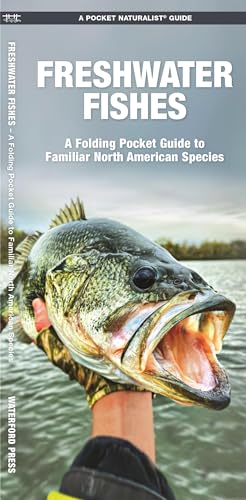 Freshwater Fishes A Folding Pocket Guide To Familiar North