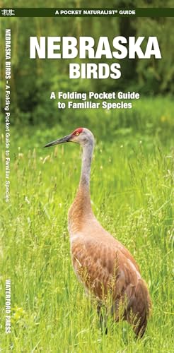 9781583551851: Nebraska Birds: A Folding Pocket Guide to Familiar Species