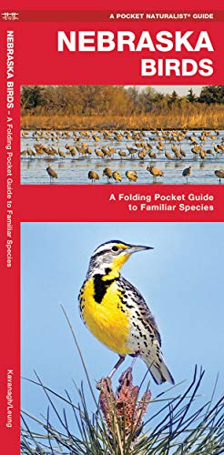 Stock image for Nebraska Birds: A Folding Pocket Guide to Familiar Species (Wildlife and Nature Identification) [Pamphlet] Kavanagh, James; Waterford Press and Leung, Raymond for sale by Lakeside Books