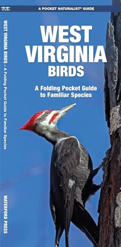 Stock image for West Virginia Birds: A Folding Pocket Guide to Familiar Species (Wildlife and Nature Identification) for sale by GF Books, Inc.