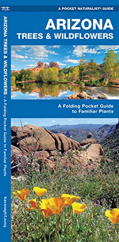 Stock image for Arizona Trees & Wildflowers: A Folding Pocket Guide to Familiar Plants (Wildlife and Nature Identification) for sale by SecondSale