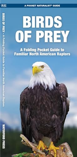 Stock image for Birds of Prey: A Folding Pocket Guide to Familiar North American Raptors (Wildlife and Nature Identification) for sale by Goodwill of Colorado