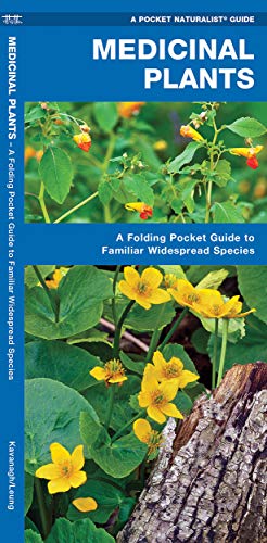 9781583551905: Medicinal Plants: A Folding Pocket Guide to Familiar Widespread Species (Pocket Naturalist Guide Series)