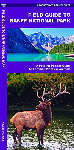 Beispielbild fr Field Guide to Banff National Park: A Folding Pocket Guide to Familiar Plants Animals (Wildlife and Nature Identification) zum Verkauf von Coas Books