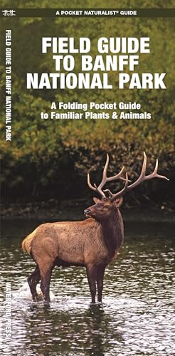 Stock image for Field Guide to Banff National Park : A Folding Pocket Guide to Familiar Species for sale by Better World Books: West