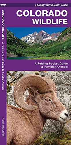 Imagen de archivo de Colorado Wildlife: A Folding Pocket Guide to Familiar Animals (Wildlife and Nature Identification) a la venta por Goodwill of Colorado