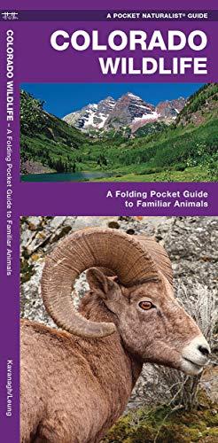 Stock image for Colorado Wildlife: A Folding Pocket Guide to Familiar Animals (Wildlife and Nature Identification) for sale by Goodwill of Colorado