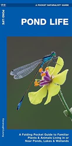 Stock image for Pond Life : A Folding Pocket Guide to Familiar Plants and Animals Living in or near Ponds, Lakes and Wetlands for sale by Better World Books: West