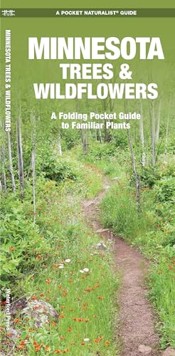 Stock image for Minnesota Trees Wildflowers: A Folding Pocket Guide to Familiar Plants (Wildlife and Nature Identification) for sale by Off The Shelf