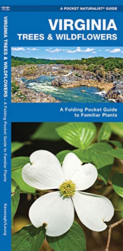 Beispielbild fr Virginia Trees & Wildflowers: A Folding Pocket Guide to Familiar Plants (Wildlife and Nature Identification) zum Verkauf von BooksRun