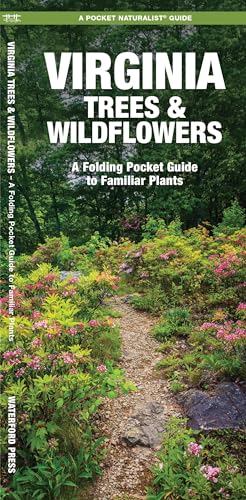 Imagen de archivo de Virginia Trees & Wildflowers: A Folding Pocket Guide to Familiar Plants (Wildlife and Nature Identification) a la venta por BooksRun