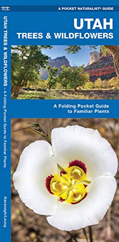 Imagen de archivo de Utah Trees & Wildflowers: A Folding Pocket Guide to Familiar Plants (Wildlife and Nature Identification) a la venta por Jenson Books Inc