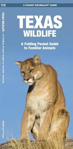 Imagen de archivo de Texas Wildlife: A Folding Pocket Guide to Familiar Animals (Wildlife and Nature Identification) a la venta por BooksRun