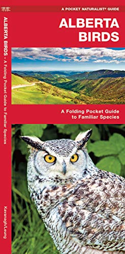 Beispielbild fr Alberta Birds: A Folding Pocket Guide to Familiar Species (A Pocket Naturalist Guide) zum Verkauf von WorldofBooks