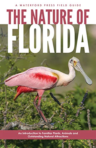 Stock image for The Nature of Florida: An Introduction to Familiar Plants, Animals Outstanding Natural Attractions (Field Guides) for sale by Blue Vase Books