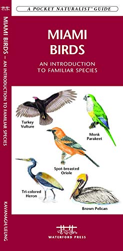 Miami Birds: A Folding Pocket Guide to Familiar Species (A Pocket Naturalist Guide) (9781583553107) by Kavanagh, James; Press, Waterford